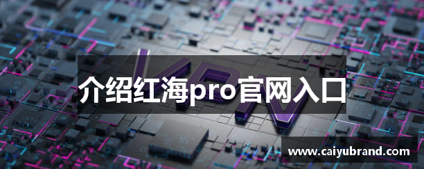 介绍红海pro官网入口