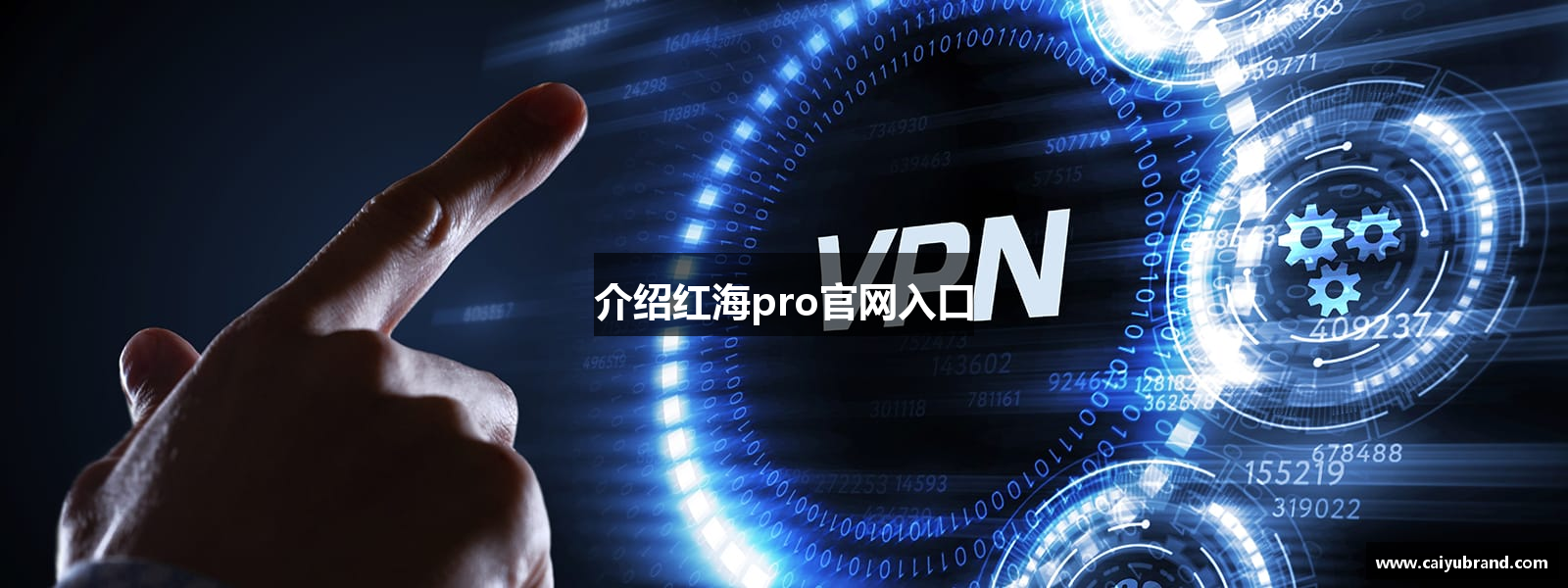 介绍红海pro官网入口